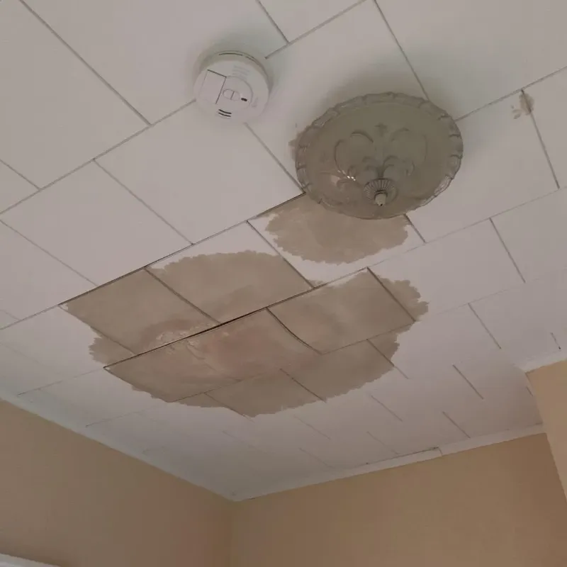 Ceiling Water Damage Repair in Pingree Grove, IL