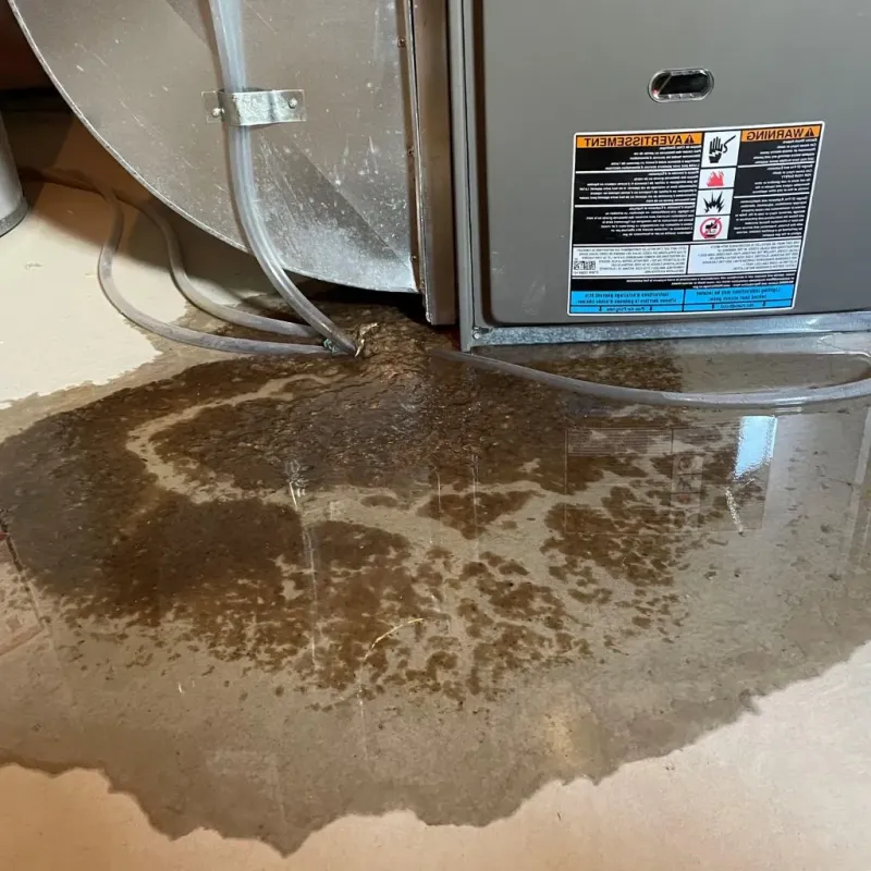 Pipe Burst and Leak Restoration in Pingree Grove, IL